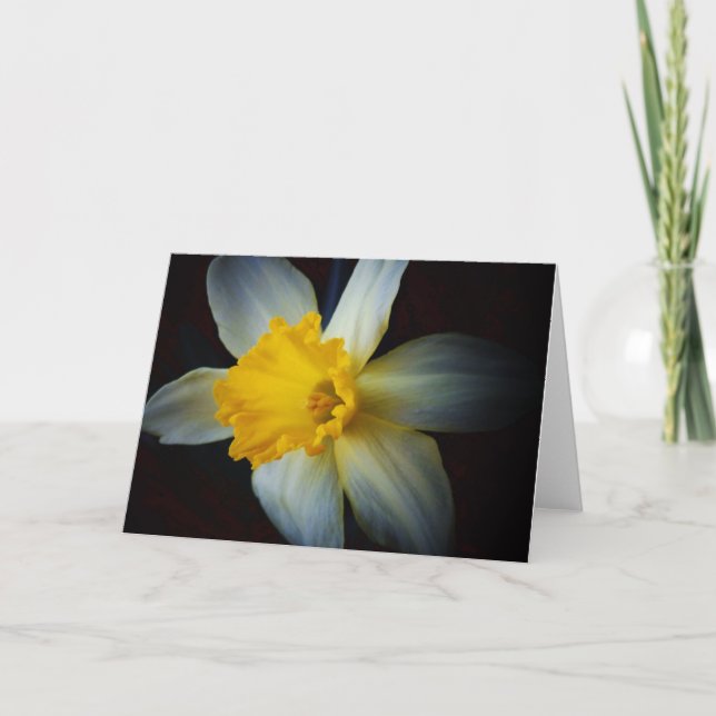 Fleur de jonquille dans la carte d'éclairage (Devant)
