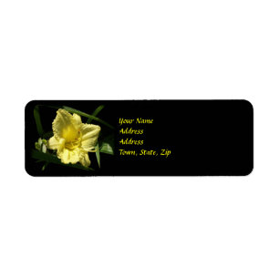 Fleur de jour jaune