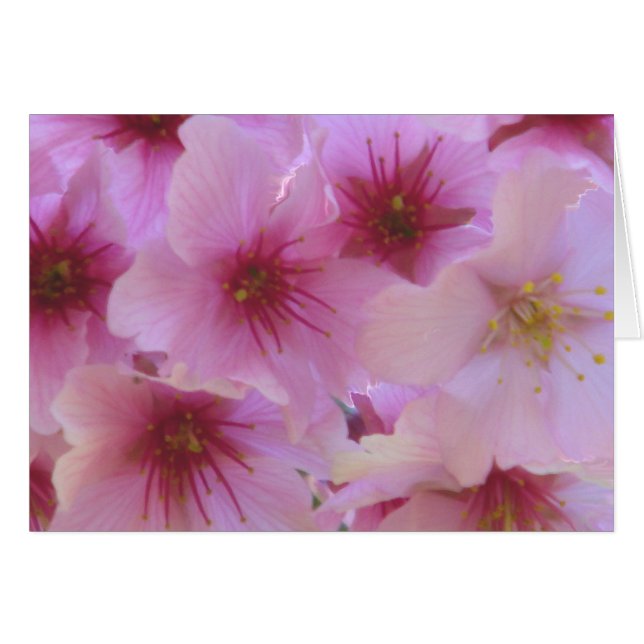 Fleur de l'amour (Devant horizontal)