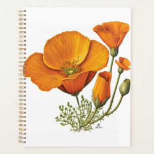 Fleur de l'État de Californie Orange Pavot Jour Pl