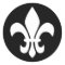 Fleur de Lis
