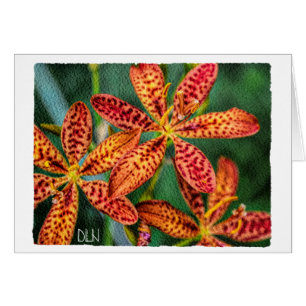 Fleur de Lis de Mûre/Art Floral/