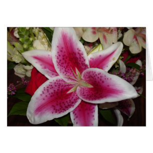 fleur de lis rose et blanc