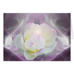 Fleur de lotte blanche