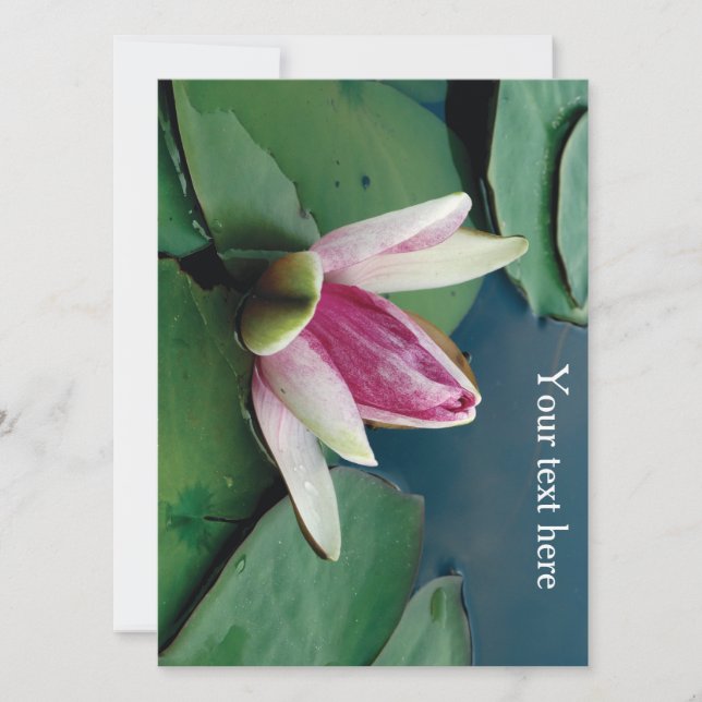 Fleur de Lotus Rose Invitation photo (Devant)