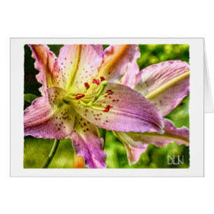 Fleur de lys Stargazer / Art aquarelle floral /