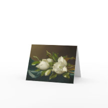 Fleur de Magnolia