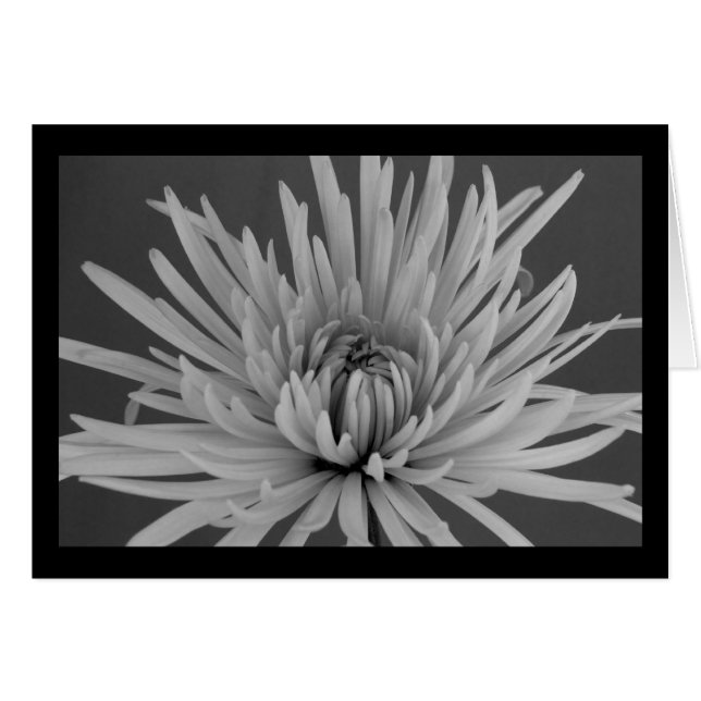 Fleur de maman noire et blanche (Devant horizontal)
