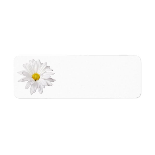Fleur de marguerite blanche Arrière - plan de marg (Devant)