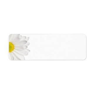 Fleur de marguerite blanche Arrière - plan de marg