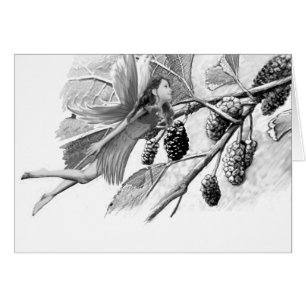 Fleur de mûrier rouge