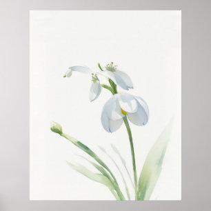 Fleur de naissance Janvier Snowdrop Poster