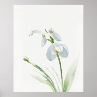 Fleur de naissance Janvier Snowdrop Poster
