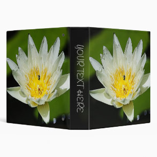 Fleur de nénuphar blanc en gros plan et classeurs