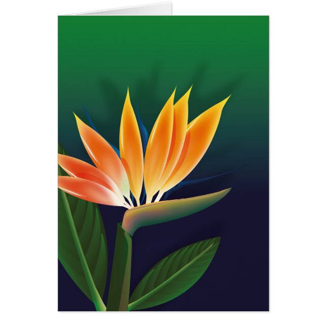 Fleur de paradisier (Devant)