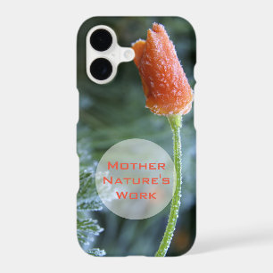 Fleur de pavot de Californie Froid Photo personnal