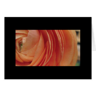 Fleur de pêche