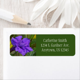 Fleur de pétunia mexicaine / Violet bleu & vert /