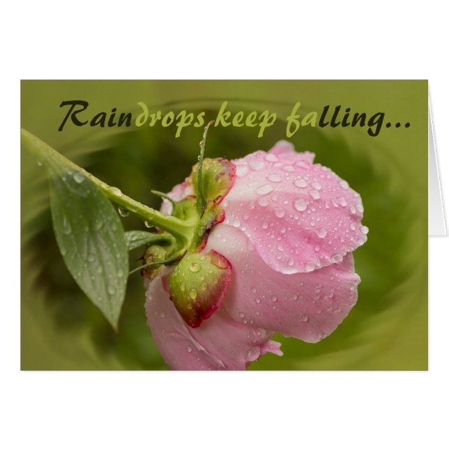 Fleur de pivoine rose avec gouttes de pluie scinti (Devant horizontal)