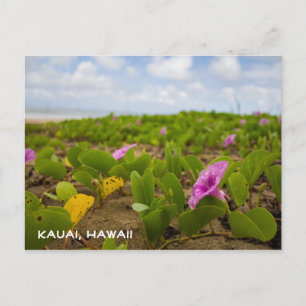 Fleur de plage Tropical Hawaii   Carte postale Kau