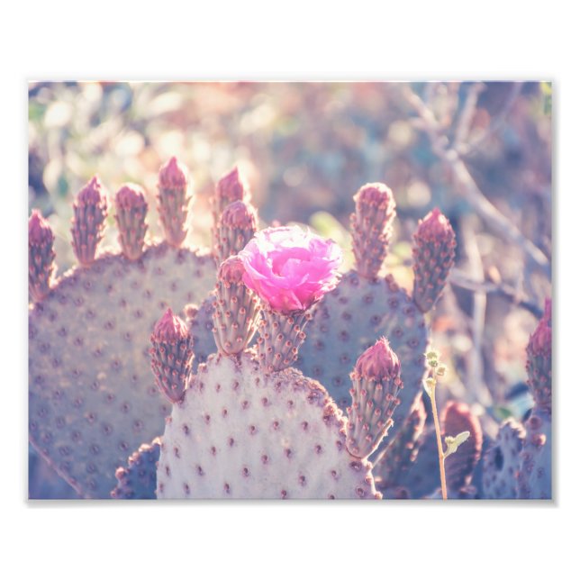 Fleur de poires | Impression photo (Devant)