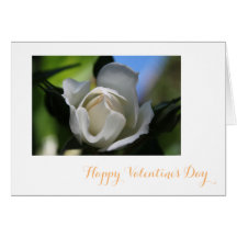 Fleur de rose blanche pure heureux Valentine's