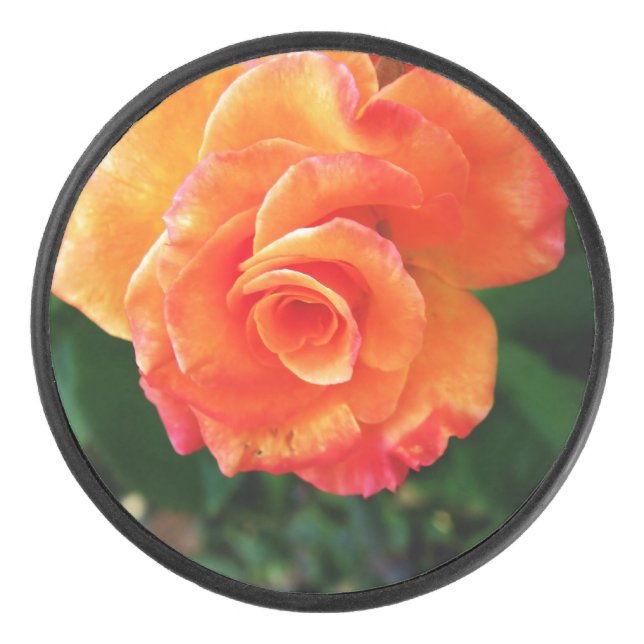 Fleur de rose orange (Devant)