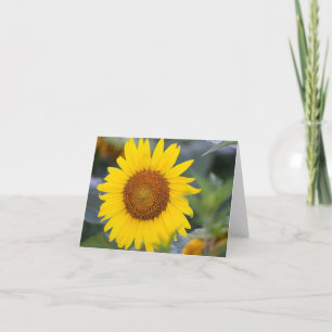 Fleur de soleil brillant plié Carte de remerciemen