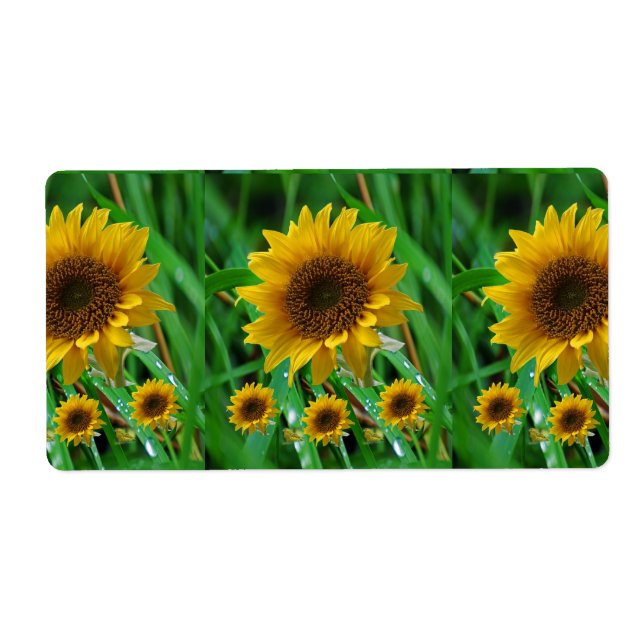 Fleur de soleil Étiquette (Devant)