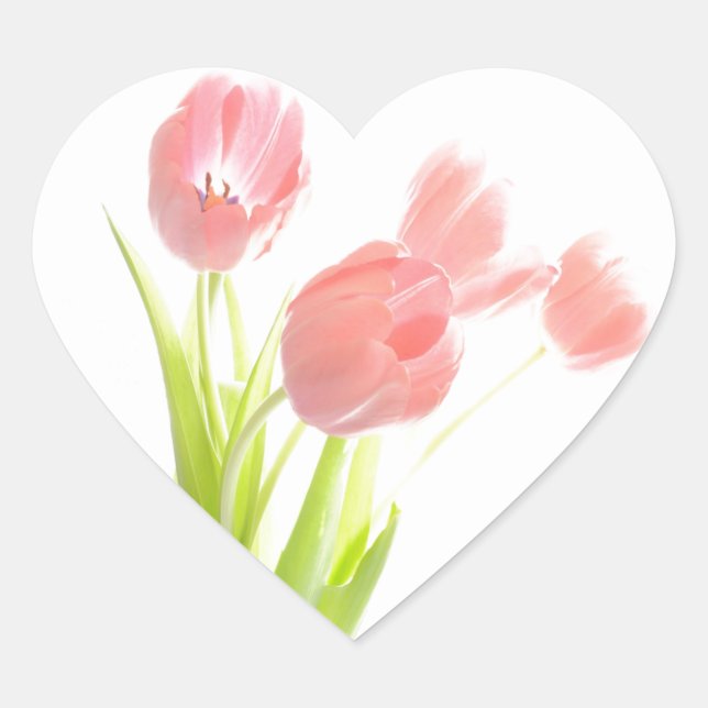 Fleur de tulipe rose rétro autocollant de coeur du (Devant)