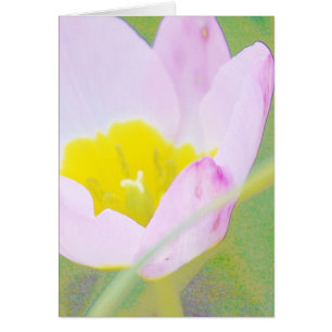 fleur de tulipe violette légère