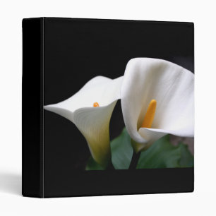 Fleur de zantedeschia sur un classeur