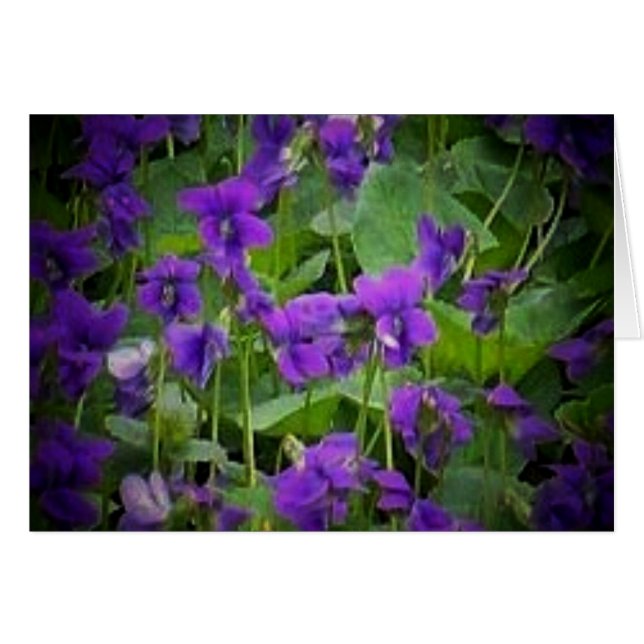 Fleur d'État du Wisconsin : Carte Violet de Bois (Devant horizontal)