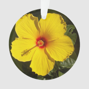 Fleur d'Hibiscus jaune