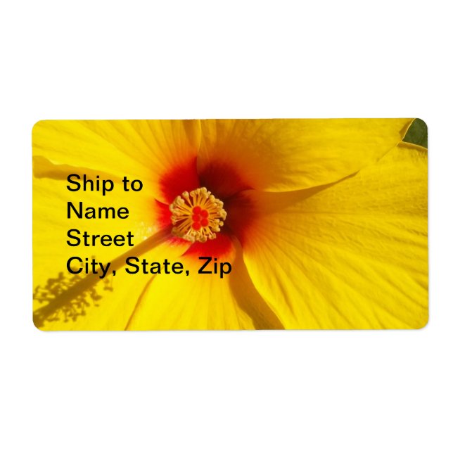 Fleur d'Hibiscus jaune (Devant)