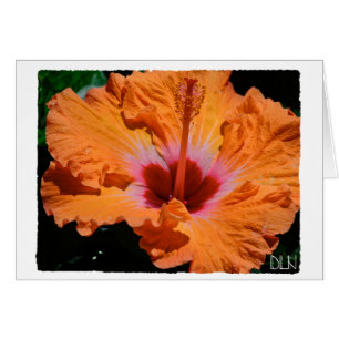 Fleur d'Hibiscus Orange Lumineux/Art Floral/