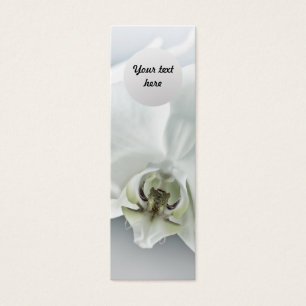 Fleur d'orchidée blanche