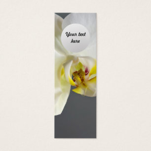 Fleur d'orchidée blanche