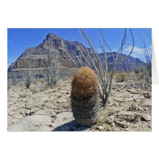 Fleur du Grand Canyon