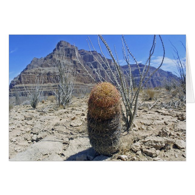 Fleur du Grand Canyon (Devant horizontal)
