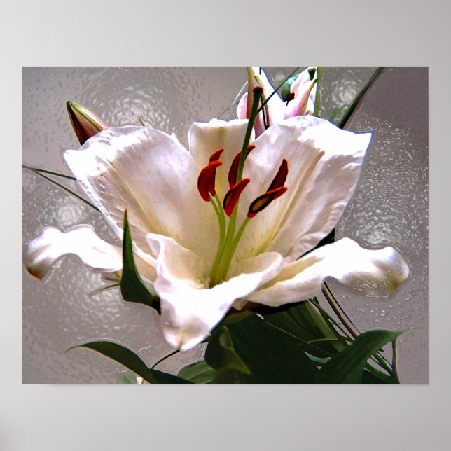 Fleur en blanc, affiche (Devant)