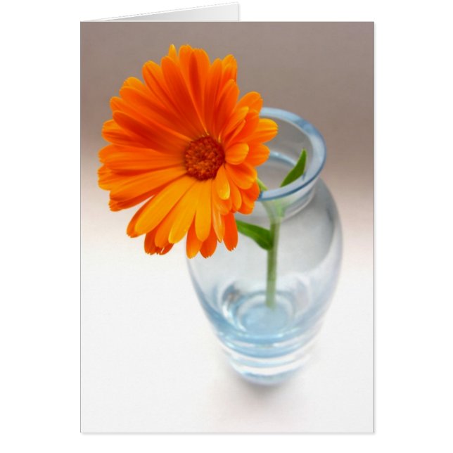 Fleur et Vase (Devant)