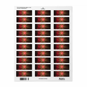 Fleur fractale de fansy rouge