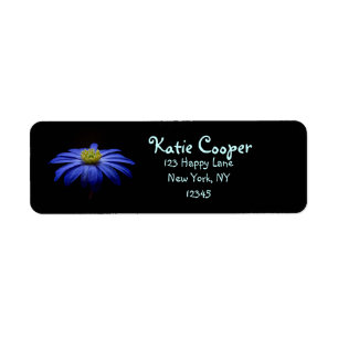Fleur Gerbera Blue Daisy sur un arrière - plan noi