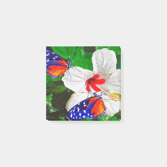 Fleur Hibiscus avec Tiger Longwing Post-It Notes (Devant)