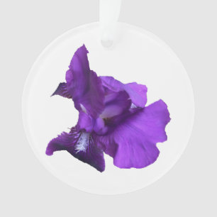 Fleur Iris Violet