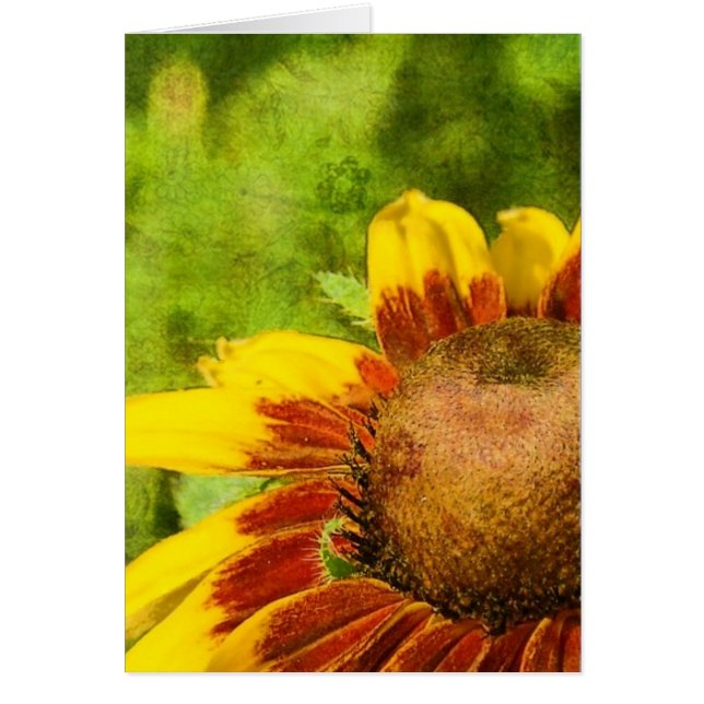 Fleur jaune (Devant)