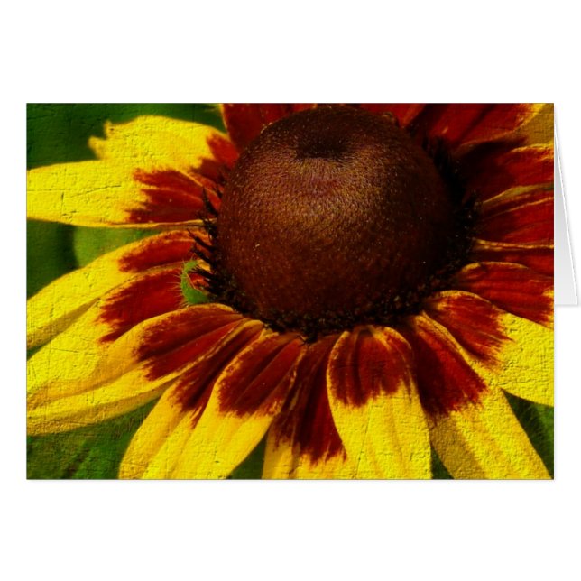 Fleur jaune (Devant horizontal)