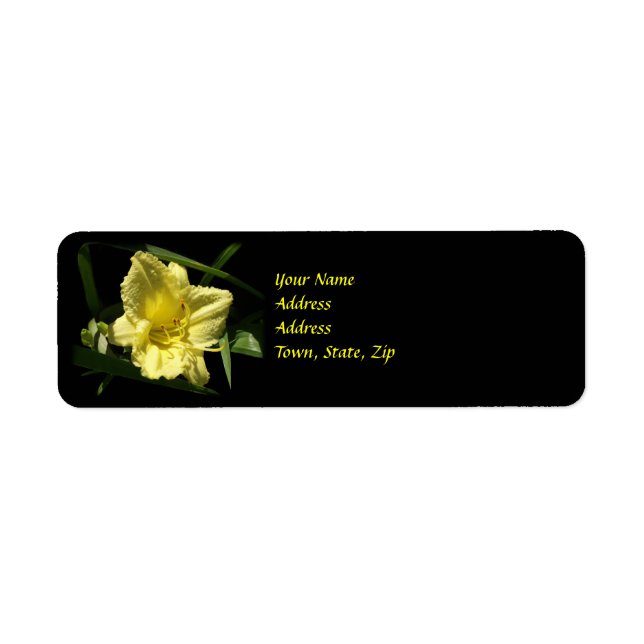 Fleur Jaune (Devant)