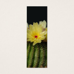Fleur jaune de cactus